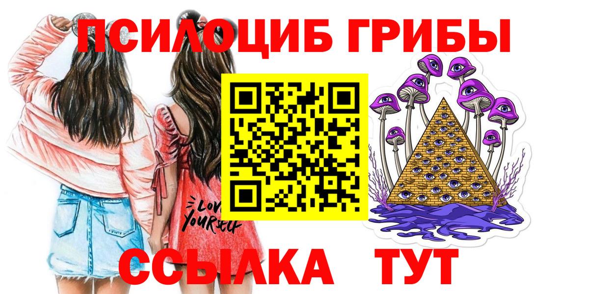 Галлюциногенные грибы прущие грибы Сегежа